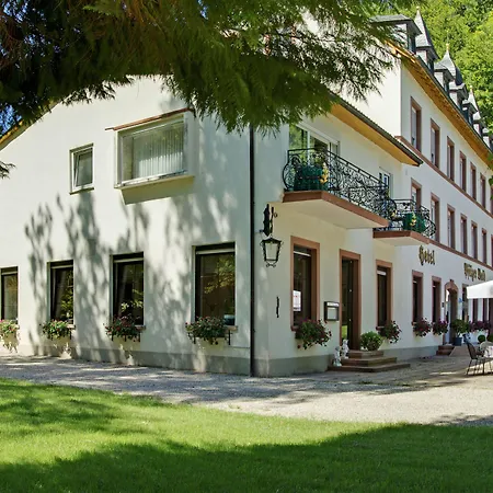 Hotel Pfälzer Wald-3