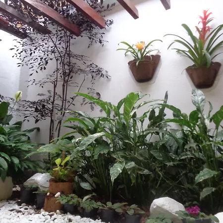 Rio Claro Plaza Hotel-2