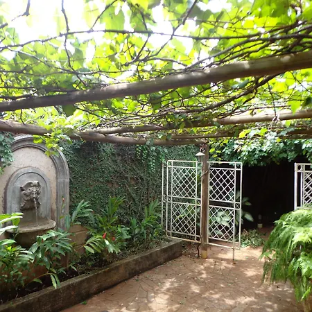 Hotel Pousada Chalé das Flores-3