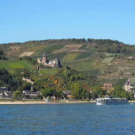 Gasthaus Weingut Stahl-3