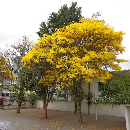 Hotel Steinhausen-2