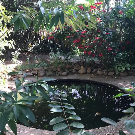 Hotel Passaledo-2