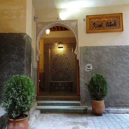 Riad Sabah-2