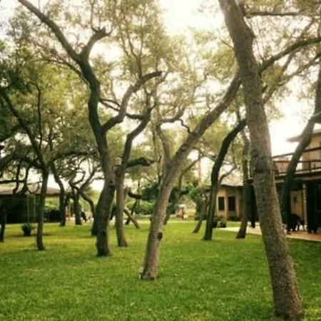 Live Oaks Bed And Breakfast-3