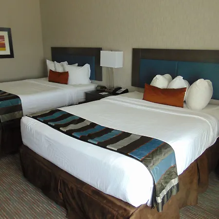 Wingate By Wyndham Lubbock-3