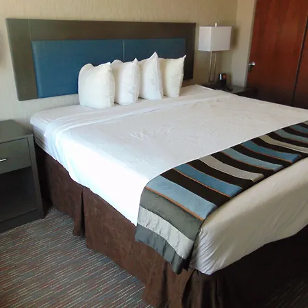 Wingate By Wyndham Lubbock-2