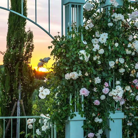 Relais Sassa Al Sole-3