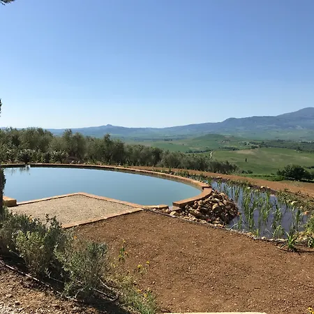 A440 In Tuscany-3