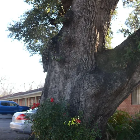 The Oak Motel-2