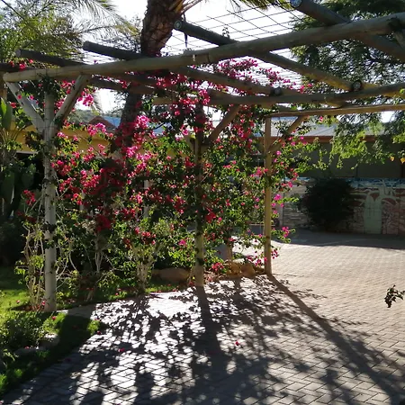 Capbon Guesthouse-2