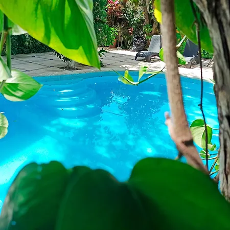Nativos Tulum Hotel Boutique-3