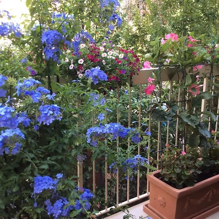 Hotel Donatello-2