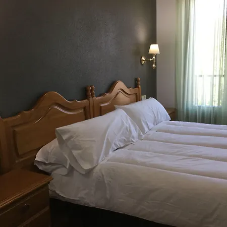 Hotel Cinco Castaños-2