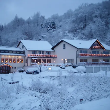 Hotel Haus Am See-2