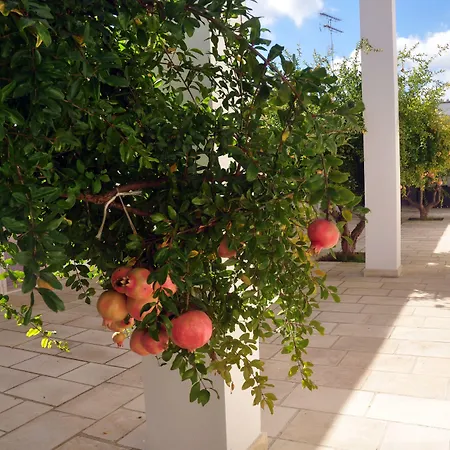 Corte dei Melograni Hotel Resort-2