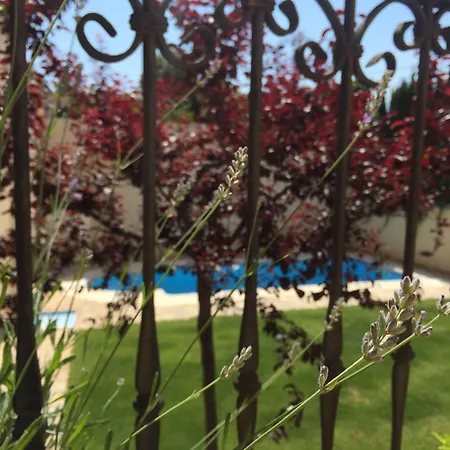 Hotel Castellote-2