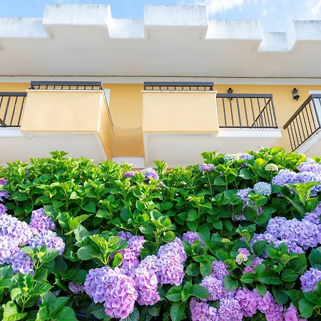 D. Afonso Hotel & Spa-2