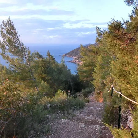 Talamoni B&B-3