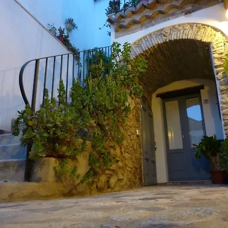 B&B Amphisya-2