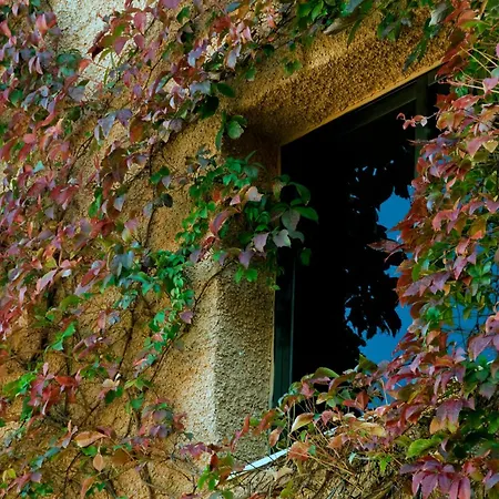 Porcel Alixares-3