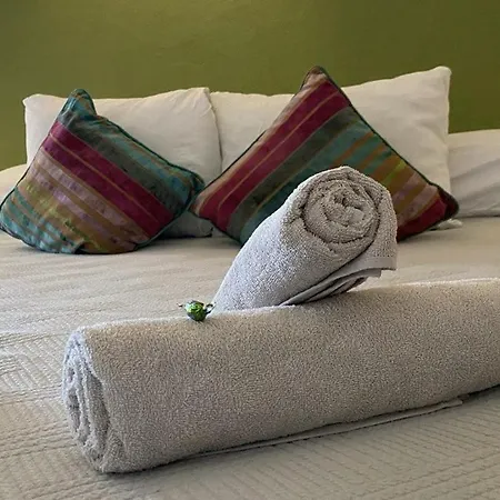 Bed & Breakfast Casa El Sueno-2