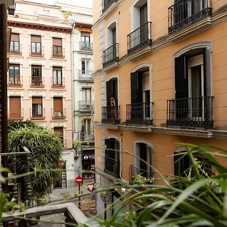 Hostal La Zona-3