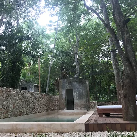 Verde Morada-3