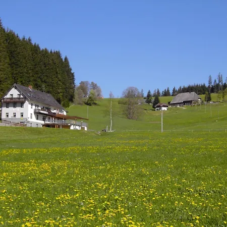 Gasthaus Pension Donishaeusle-3