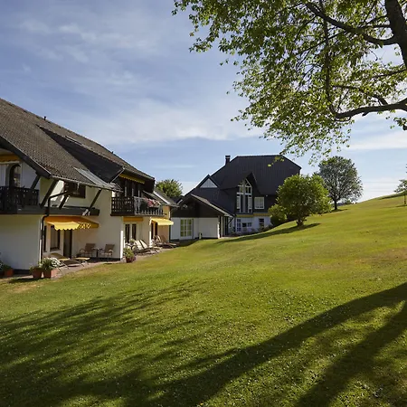Hotel Zum Ochsen-3
