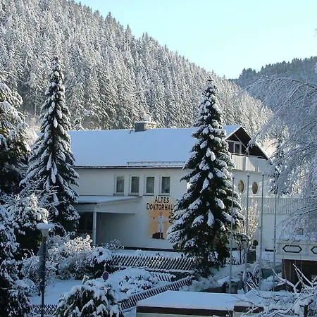Altes Doktorhaus - Hotel Garni-2