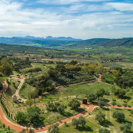 Cortijo LA Organic-2