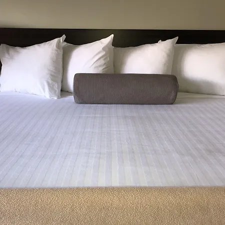 Hotel Elevation-3