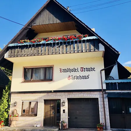 Landhotel Traube-3