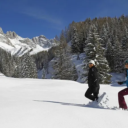 Chalet Aster-2