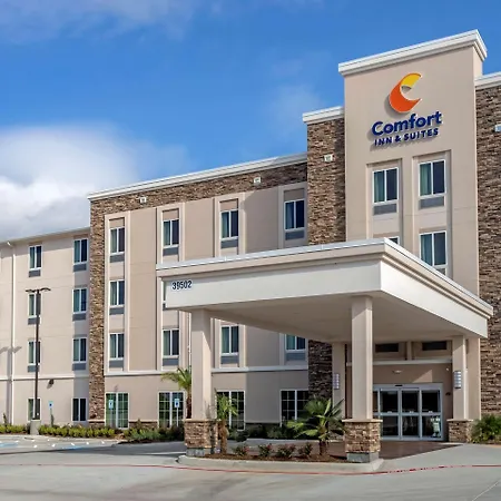 Comfort Inn & Suites Waller-2
