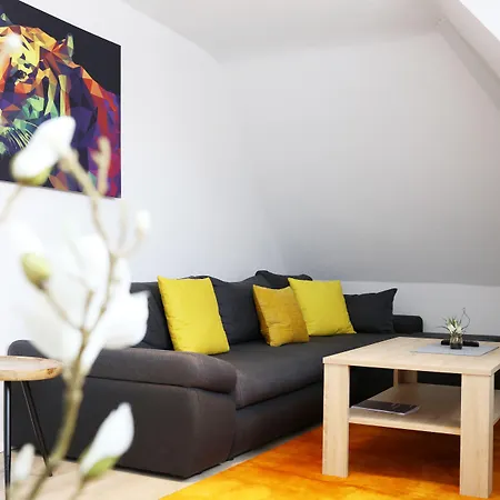 Parkhotel Villingen und Boardingzimmer-2