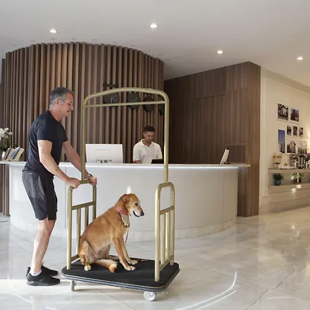Lefel Hotel-2