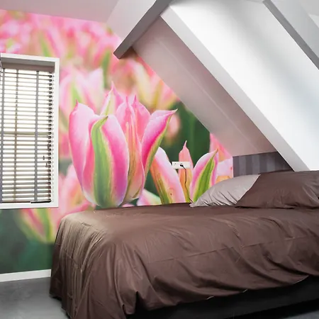 House Of Tulips-2