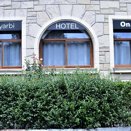 Hotel Onyarbi-3