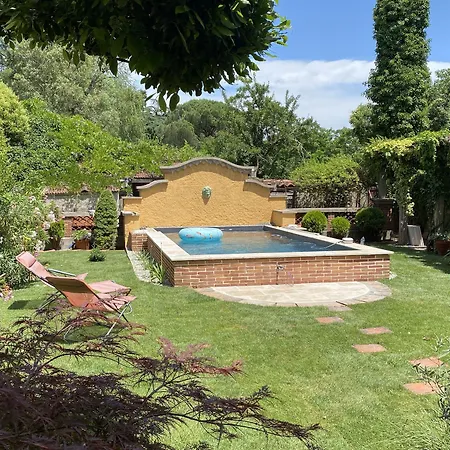 Le Rez de Jardin Albi-2