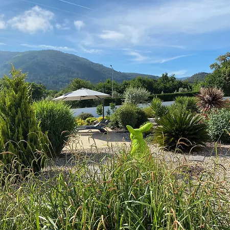Casa Carvalhal - Adults Only-3