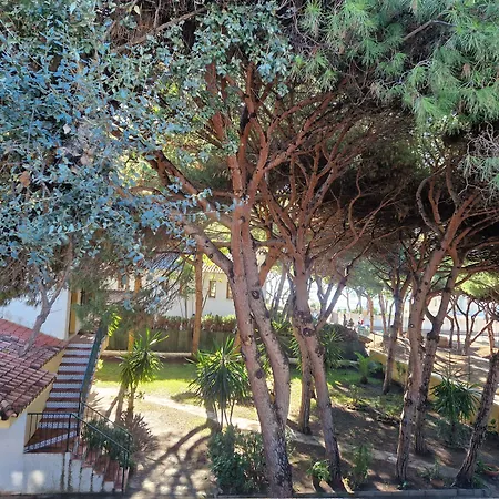 Villa Costa Marbella-2