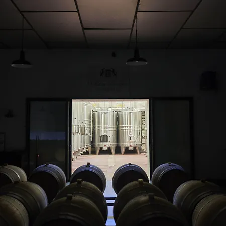 Château Bonalgue - Pomerol-2