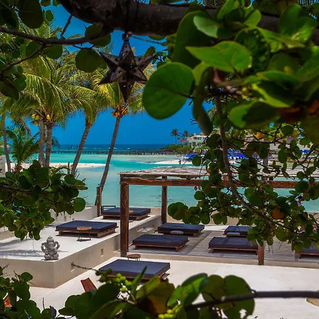 Lotus Beach Hotel - Adults Only-3