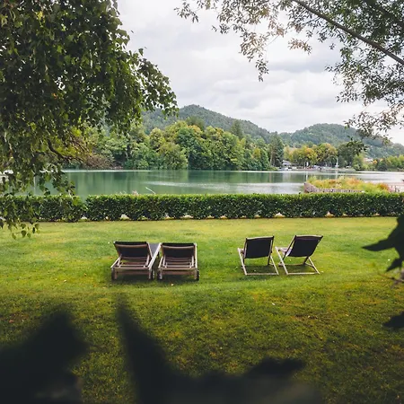 Luxury Glamping Chocolate Village-3