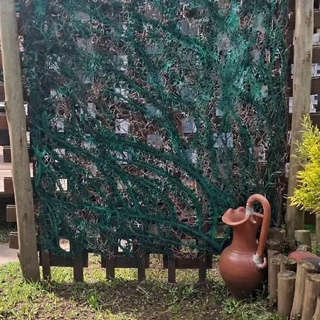 Mini House Park-2