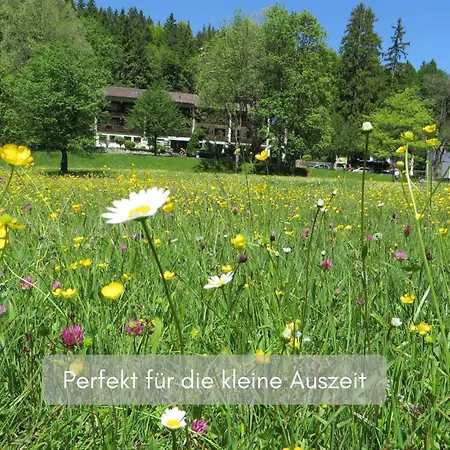 Hotel Ruchti - Zeit Fuer Mich-3