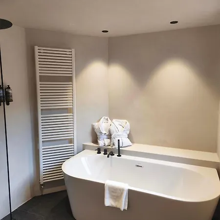 Sommos Hotel Benasque Spa-2