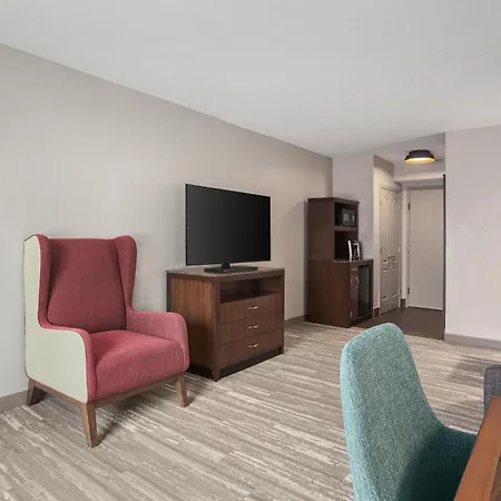 Hilton Garden Inn Tampa North-2