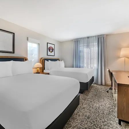 Sonesta Es Suites Orlando - Lake Buena Vista-2